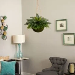 13" Cycas Plant In Mossy Hanging Basket -Michaels Shop D251642S 13