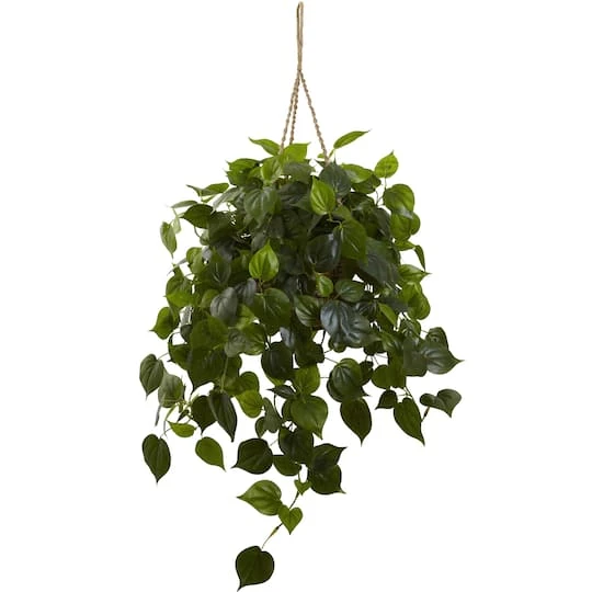 3ft. Philo Plant Hanging Basket 4 3ft. Philo Plant Hanging Basket - Image 2