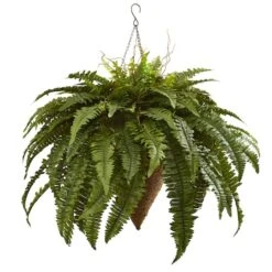 2ft. Boston Fern With Cone Hanging Basket -Michaels Shop D251645S 1 1