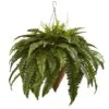 2ft. Boston Fern With Cone Hanging Basket -Michaels Shop D251645S 1