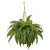 33" Boston Fern In Hanging Basket -Michaels Shop D251649S 11