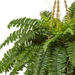 33" Boston Fern In Hanging Basket -Michaels Shop D251649S 12