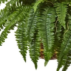 33" Boston Fern In Hanging Basket -Michaels Shop D251649S 13