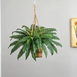 33" Boston Fern In Hanging Basket -Michaels Shop D251649S 14
