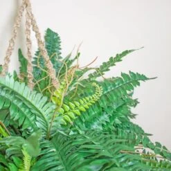 29" Boston Fern In Hanging Basket -Michaels Shop D251653S 2