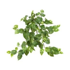 24” Pothos Hanging Bush, 3ct. -Michaels Shop D251656S 11 1