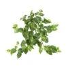 24” Pothos Hanging Bush, 3ct. -Michaels Shop D251656S 11