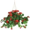 24" Red Geranium In Hanging Basket -Michaels Shop D251660S 11