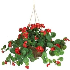 24" Red Geranium In Hanging Basket