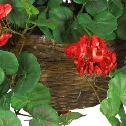 24" Red Geranium In Hanging Basket -Michaels Shop D251660S 13