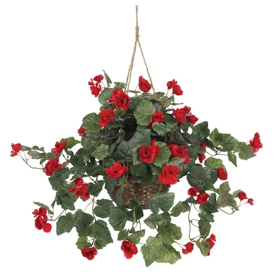 24" Red Begonia In Hanging Basket 4 24" Red Begonia In Hanging Basket - Image 2