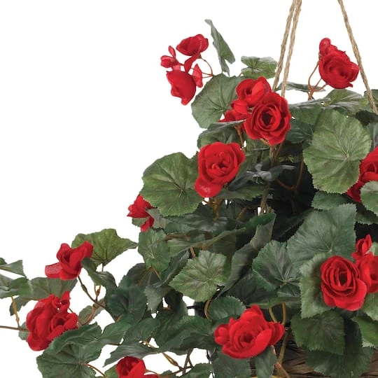 24" Red Begonia In Hanging Basket 5 24" Red Begonia In Hanging Basket - Image 3