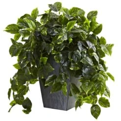 2.5ft. Hanging Pothos With Slate Planter -Michaels Shop D251663S 11 1