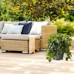 2.5ft. Hanging Pothos With Slate Planter -Michaels Shop D251663S 14