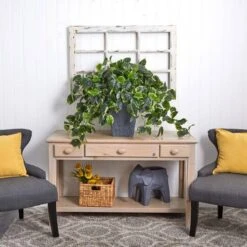 2.5ft. Hanging Pothos With Slate Planter -Michaels Shop D251663S 17