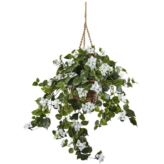 28" Bougainvillea In Hanging Basket 4 28" Bougainvillea In Hanging Basket - Image 2