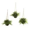 9'' Eucalyptus, Maiden Hair & Berry Hanging Basket, 3ct. 2 9'' Eucalyptus, Maiden Hair & Berry Hanging Basket, 3ct. -Michaels Shop D251666S 1
