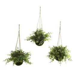 9'' Eucalyptus, Maiden Hair & Berry Hanging Basket, 3ct.