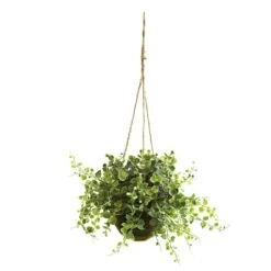 9'' Eucalyptus, Maiden Hair & Berry Hanging Basket, 3ct. -Michaels Shop D251666S 3