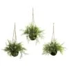 9'' Mini Ruscus, Sedum & Asparagus Fern Hanging Basket, 3ct. -Michaels Shop D251668S 1