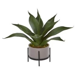 14" Agave Succulent In Decorative Planter