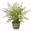 13" Maiden Hair Artificial Plant In Decorative Planter 1 13" Maiden Hair Artificial Plant In Decorative Planter -Michaels Shop D251681S 11
