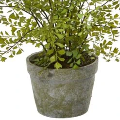 13" Maiden Hair Artificial Plant In Decorative Planter -Michaels Shop D251681S 13