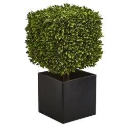 27" Boxwood Artificial Plant In Black Planter