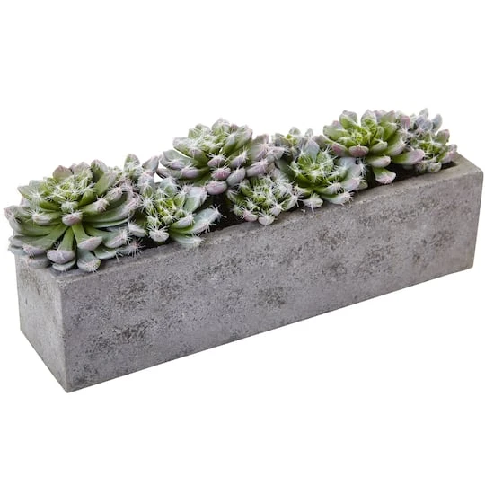 13.5" Succulent Garden With Textured Concrete Planter 3 13.5" Succulent Garden With Textured Concrete Planter