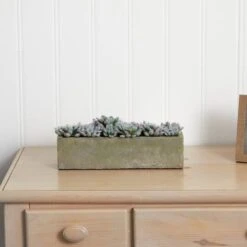 13.5" Succulent Garden With Textured Concrete Planter 16 13.5" Succulent Garden With Textured Concrete Planter -Michaels Shop D251695S 16