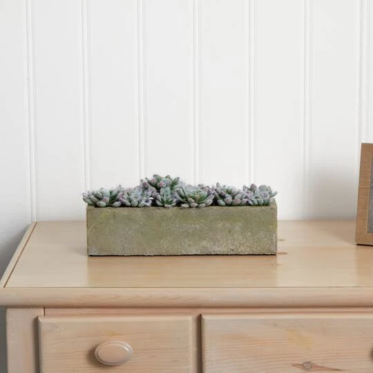 13.5" Succulent Garden With Textured Concrete Planter 9 13.5" Succulent Garden With Textured Concrete Planter - Image 7