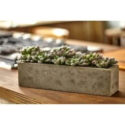 13.5" Succulent Garden With Textured Concrete Planter 17 13.5" Succulent Garden With Textured Concrete Planter -Michaels Shop D251695S 17