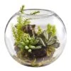 8" Mix Succulent Garden In Glass Vase 2 8" Mix Succulent Garden In Glass Vase -Michaels Shop D251696S 1