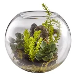 8" Mix Succulent Garden In Glass Vase -Michaels Shop D251696S 2
