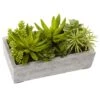 13" Succulent Garden With Concrete Planter -Michaels Shop D251700S 11