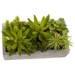 13" Succulent Garden With Concrete Planter -Michaels Shop D251700S 12