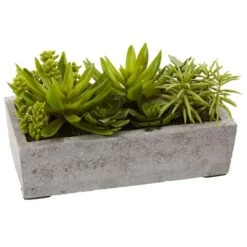 13" Succulent Garden With Concrete Planter -Michaels Shop D251700S 13
