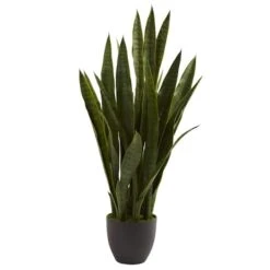 3ft. Snake Plant With Black Planter -Michaels Shop D251704S 11 1