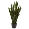 3ft. Snake Plant With Black Planter -Michaels Shop D251704S 11