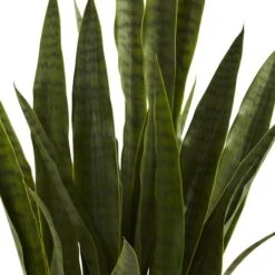 3ft. Snake Plant With Black Planter -Michaels Shop D251704S 12