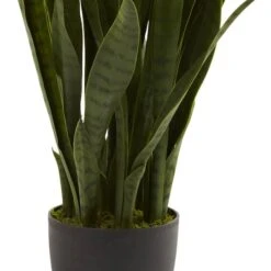 3ft. Snake Plant With Black Planter -Michaels Shop D251704S 13