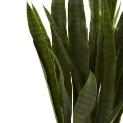 3ft. Snake Plant With Black Planter -Michaels Shop D251704S 14