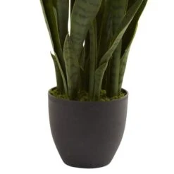 3ft. Snake Plant With Black Planter -Michaels Shop D251704S 15