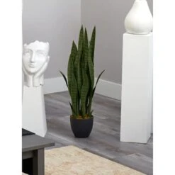 3ft. Snake Plant With Black Planter -Michaels Shop D251704S 16