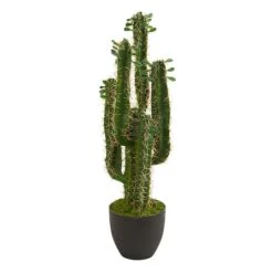2.5’ Potted Cactus Plant -Michaels Shop D251716S 11 1