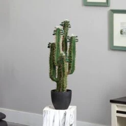 2.5’ Potted Cactus Plant -Michaels Shop D251716S 12