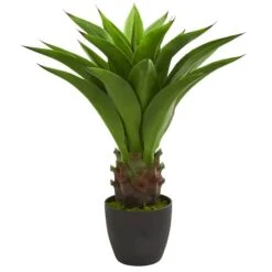 30" Potted Agave Plant -Michaels Shop D251718S 1 1