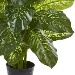 3ft. Potted Dieffenbachia Plant 11 3ft. Potted Dieffenbachia Plant -Michaels Shop D251722S 13