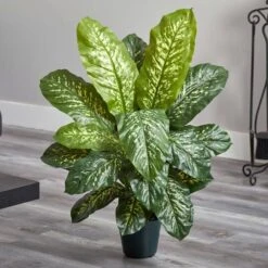 3ft. Potted Dieffenbachia Plant 13 3ft. Potted Dieffenbachia Plant -Michaels Shop D251722S 15