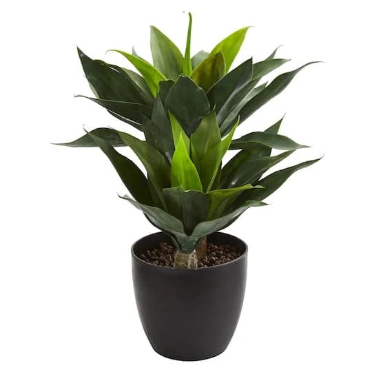 21in. Potted Agave Plant 4 21in. Potted Agave Plant - Image 2
